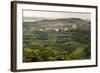 Vineyards and the Hill Top Town of Vedrijan, Goriska Brda, Slovenia, Europe-Matthew Williams-Ellis-Framed Photographic Print