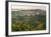 Vineyards and the Hill Top Town of Vedrijan, Goriska Brda, Slovenia, Europe-Matthew Williams-Ellis-Framed Photographic Print