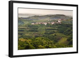 Vineyards and the Hill Top Town of Vedrijan, Goriska Brda, Slovenia, Europe-Matthew Williams-Ellis-Framed Photographic Print