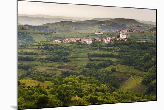 Vineyards and the Hill Top Town of Vedrijan, Goriska Brda, Slovenia, Europe-Matthew Williams-Ellis-Mounted Photographic Print