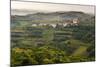Vineyards and the Hill Top Town of Vedrijan, Goriska Brda, Slovenia, Europe-Matthew Williams-Ellis-Mounted Photographic Print