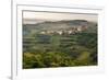 Vineyards and the Hill Top Town of Vedrijan, Goriska Brda, Slovenia, Europe-Matthew Williams-Ellis-Framed Photographic Print