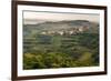 Vineyards and the Hill Top Town of Vedrijan, Goriska Brda, Slovenia, Europe-Matthew Williams-Ellis-Framed Photographic Print