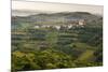 Vineyards and the Hill Top Town of Vedrijan, Goriska Brda, Slovenia, Europe-Matthew Williams-Ellis-Mounted Photographic Print