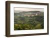 Vineyards and the Hill Top Town of Vedrijan, Goriska Brda, Slovenia, Europe-Matthew Williams-Ellis-Framed Photographic Print