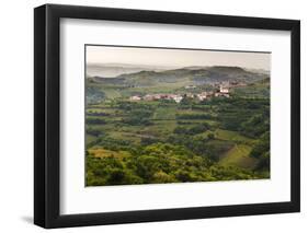 Vineyards and the Hill Top Town of Vedrijan, Goriska Brda, Slovenia, Europe-Matthew Williams-Ellis-Framed Photographic Print