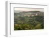 Vineyards and the Hill Top Town of Vedrijan, Goriska Brda, Slovenia, Europe-Matthew Williams-Ellis-Framed Photographic Print