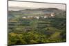 Vineyards and the Hill Top Town of Vedrijan, Goriska Brda, Slovenia, Europe-Matthew Williams-Ellis-Mounted Photographic Print