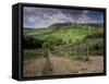 Vineyards and the Medivel Town of San Gimignano Delle Belle Torri, Tuscany, Italy-Patrick Dieudonne-Framed Stretched Canvas