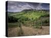 Vineyards and the Medivel Town of San Gimignano Delle Belle Torri, Tuscany, Italy-Patrick Dieudonne-Stretched Canvas