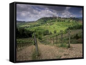 Vineyards and the Medivel Town of San Gimignano Delle Belle Torri, Tuscany, Italy-Patrick Dieudonne-Framed Stretched Canvas