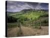 Vineyards and the Medivel Town of San Gimignano Delle Belle Torri, Tuscany, Italy-Patrick Dieudonne-Stretched Canvas