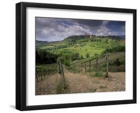 Vineyards and the Medivel Town of San Gimignano Delle Belle Torri, Tuscany, Italy-Patrick Dieudonne-Framed Photographic Print