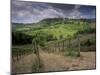 Vineyards and the Medivel Town of San Gimignano Delle Belle Torri, Tuscany, Italy-Patrick Dieudonne-Mounted Photographic Print