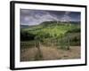 Vineyards and the Medivel Town of San Gimignano Delle Belle Torri, Tuscany, Italy-Patrick Dieudonne-Framed Photographic Print