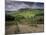 Vineyards and the Medivel Town of San Gimignano Delle Belle Torri, Tuscany, Italy-Patrick Dieudonne-Mounted Photographic Print