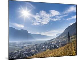 Vineyards and the Valley of the River Etsch. South Tyrol, Italy-Martin Zwick-Mounted Photographic Print