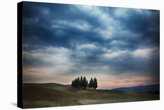 Vineyards and Tilled Fields Surround the Abbey of Saint Antimo-Terry Eggers-Stretched Canvas