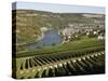 Vineyards and Village of Machtum, Mosel Valley, Luxembourg, Europe-Hans Peter Merten-Stretched Canvas