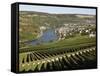 Vineyards and Village of Machtum, Mosel Valley, Luxembourg, Europe-Hans Peter Merten-Framed Stretched Canvas