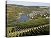 Vineyards and Village of Machtum, Mosel Valley, Luxembourg, Europe-Hans Peter Merten-Stretched Canvas