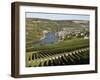 Vineyards and Village of Machtum, Mosel Valley, Luxembourg, Europe-Hans Peter Merten-Framed Photographic Print