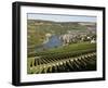 Vineyards and Village of Machtum, Mosel Valley, Luxembourg, Europe-Hans Peter Merten-Framed Photographic Print