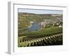 Vineyards and Village of Machtum, Mosel Valley, Luxembourg, Europe-Hans Peter Merten-Framed Photographic Print