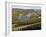 Vineyards and Village of Machtum, Mosel Valley, Luxembourg, Europe-Hans Peter Merten-Framed Photographic Print