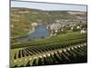 Vineyards and Village of Machtum, Mosel Valley, Luxembourg, Europe-Hans Peter Merten-Mounted Photographic Print