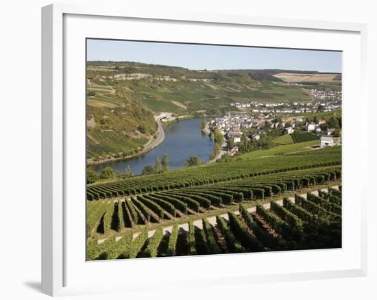 Vineyards and Village of Machtum, Mosel Valley, Luxembourg, Europe-Hans Peter Merten-Framed Photographic Print