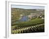 Vineyards and Village of Machtum, Mosel Valley, Luxembourg, Europe-Hans Peter Merten-Framed Photographic Print