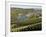 Vineyards and Village of Machtum, Mosel Valley, Luxembourg, Europe-Hans Peter Merten-Framed Photographic Print