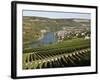 Vineyards and Village of Machtum, Mosel Valley, Luxembourg, Europe-Hans Peter Merten-Framed Photographic Print