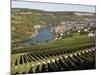 Vineyards and Village of Machtum, Mosel Valley, Luxembourg, Europe-Hans Peter Merten-Mounted Photographic Print
