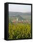 Vineyards and Villages Along the Wine Route, Alsace, France, Europe-Yadid Levy-Framed Stretched Canvas