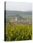 Vineyards and Villages Along the Wine Route, Alsace, France, Europe-Yadid Levy-Stretched Canvas