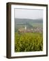 Vineyards and Villages Along the Wine Route, Alsace, France, Europe-Yadid Levy-Framed Photographic Print