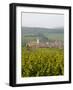Vineyards and Villages Along the Wine Route, Alsace, France, Europe-Yadid Levy-Framed Photographic Print