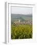 Vineyards and Villages Along the Wine Route, Alsace, France, Europe-Yadid Levy-Framed Photographic Print