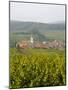 Vineyards and Villages Along the Wine Route, Alsace, France, Europe-Yadid Levy-Mounted Photographic Print