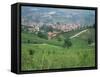 Vineyards Around Dogliani, the Langhe, Piedmont, Italy-Sheila Terry-Framed Stretched Canvas