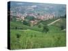 Vineyards Around Dogliani, the Langhe, Piedmont, Italy-Sheila Terry-Stretched Canvas