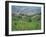 Vineyards Around Dogliani, the Langhe, Piedmont, Italy-Sheila Terry-Framed Photographic Print