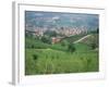 Vineyards Around Dogliani, the Langhe, Piedmont, Italy-Sheila Terry-Framed Photographic Print