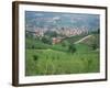 Vineyards Around Dogliani, the Langhe, Piedmont, Italy-Sheila Terry-Framed Photographic Print