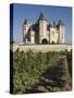 Vineyards around the Chateau De Saumur, Maine-et-Loire, Pays De La Loire, France, Europe-James Emmerson-Stretched Canvas