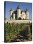 Vineyards around the Chateau De Saumur, Maine-et-Loire, Pays De La Loire, France, Europe-James Emmerson-Stretched Canvas