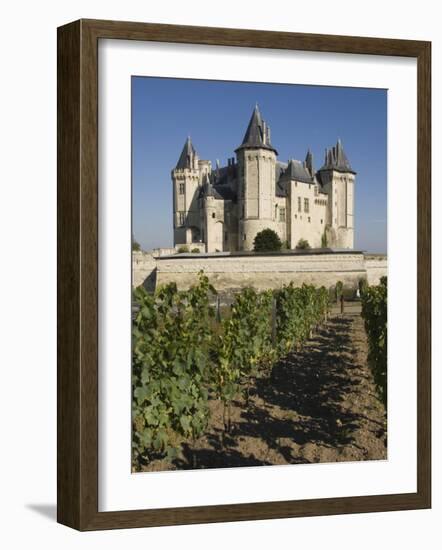 Vineyards around the Chateau De Saumur, Maine-et-Loire, Pays De La Loire, France, Europe-James Emmerson-Framed Photographic Print