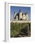 Vineyards around the Chateau De Saumur, Maine-et-Loire, Pays De La Loire, France, Europe-James Emmerson-Framed Photographic Print